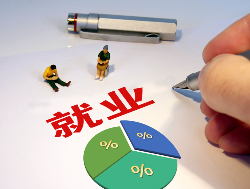 菜鸟无忧就业率怎么样?专业辅导助力大学生求职