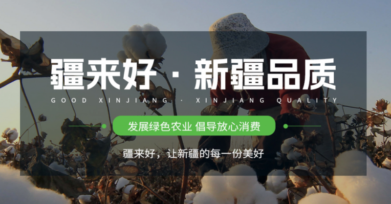 新疆疆来好电子商务有限公司是一家立足新疆，面向全国乃至全球的综合性电子商务企业。