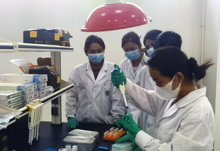 农业科技创新加"料" 新疆伽师新梅变乡村振兴"金"果