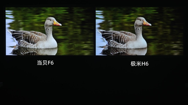 实测对比：当贝F6和极米H6 哪款投影仪的画面更清晰、更自然？