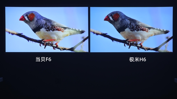 实测对比：当贝F6和极米H6 哪款投影仪的画面更清晰、更自然？