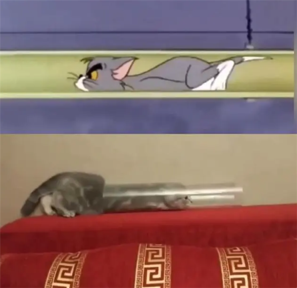 《猫和老鼠》才是永远的神！凭什么能碾压AI作画？