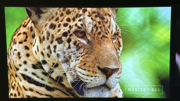 投影仪树脂镜头和玻璃镜头的区别在哪？当贝F6全玻璃避免热虚焦 更值得入手