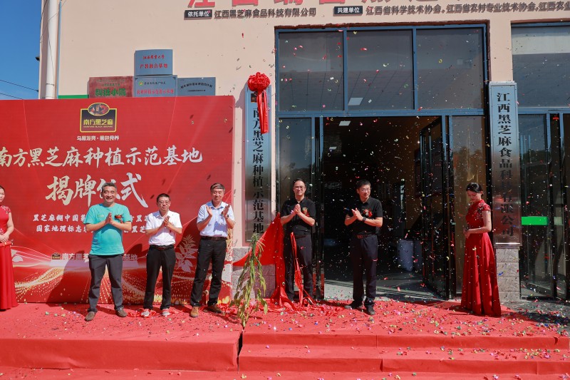 南方黑芝麻种植示范基地瑞昌揭牌:全产业链布局再升级(图1) 南方黑芝麻种植示范基地瑞昌揭牌:全产业链布局再升级(图1)