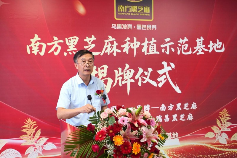 南方黑芝麻种植示范基地瑞昌揭牌:全产业链布局再升级(图4) 南方黑芝麻种植示范基地瑞昌揭牌:全产业链布局再升级(图4)