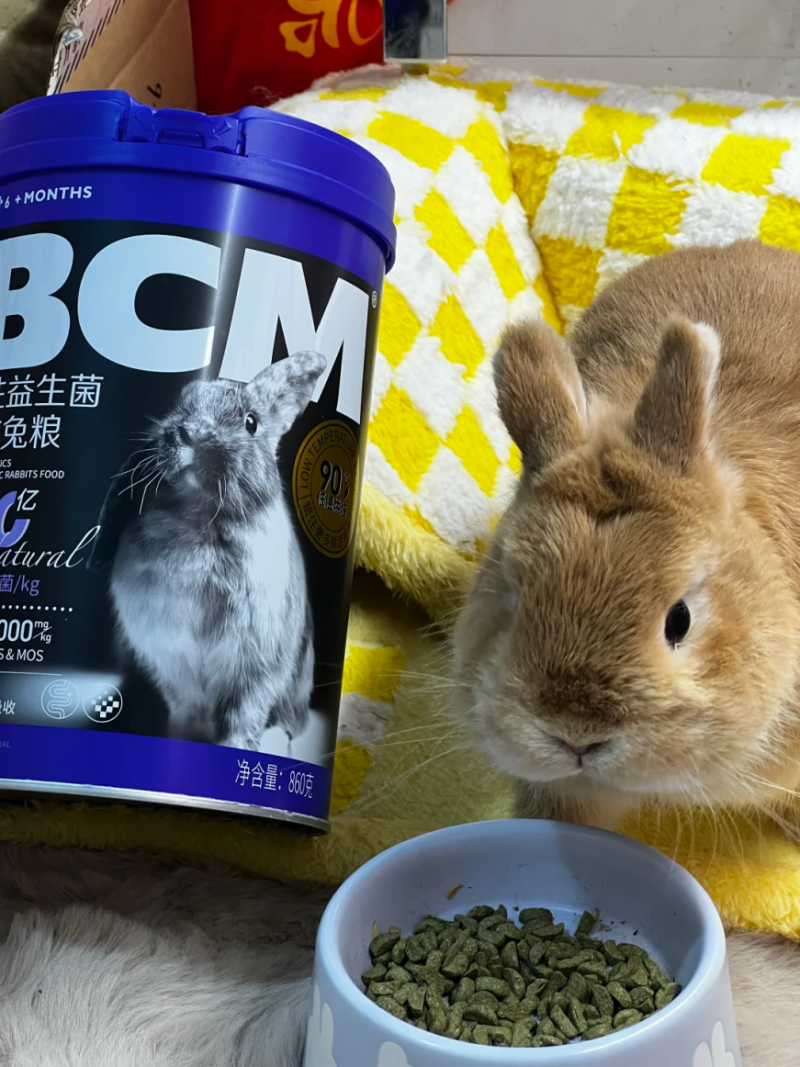 BCM 低敏益生菌兔粮:肠胃脆弱兔子的福音,改善兔兔肠胃健康!(图11) BCM 低敏益生菌兔粮:肠胃脆弱兔子的福音,改善兔兔肠胃健康!(图11)