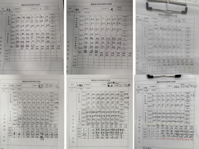 好主人100天喂养计划成功收官 分阶主粮引领精细化养宠趋势(图2)