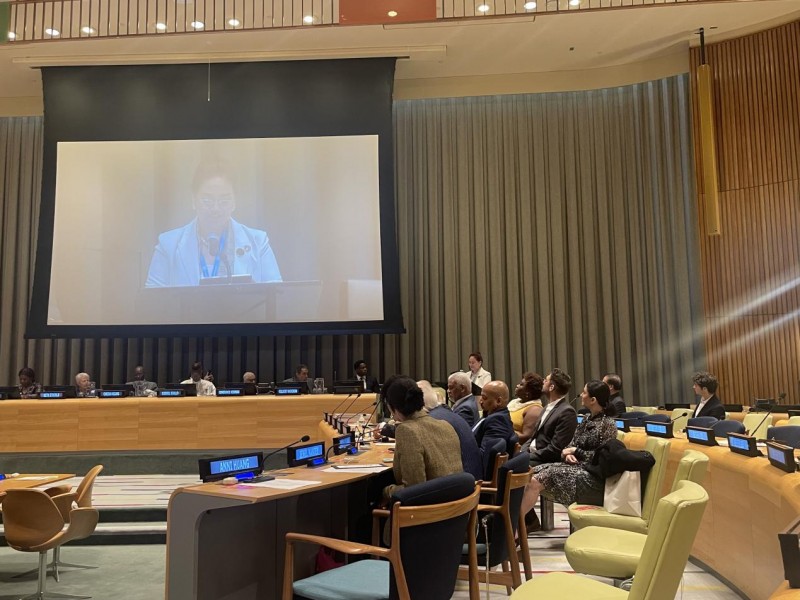 黄安妮在联合国发表推动女性赋权与性别平主题演讲(图2)