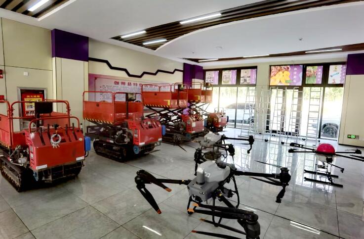 农业科技创新加"料"  新疆伽师新梅变乡村振兴"金"果(图5)