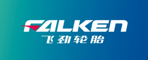 赛道级操控体验下放!飞劲轮胎FK520用专业级、高性能为车主带来非凡驾乘体验(图3) descript